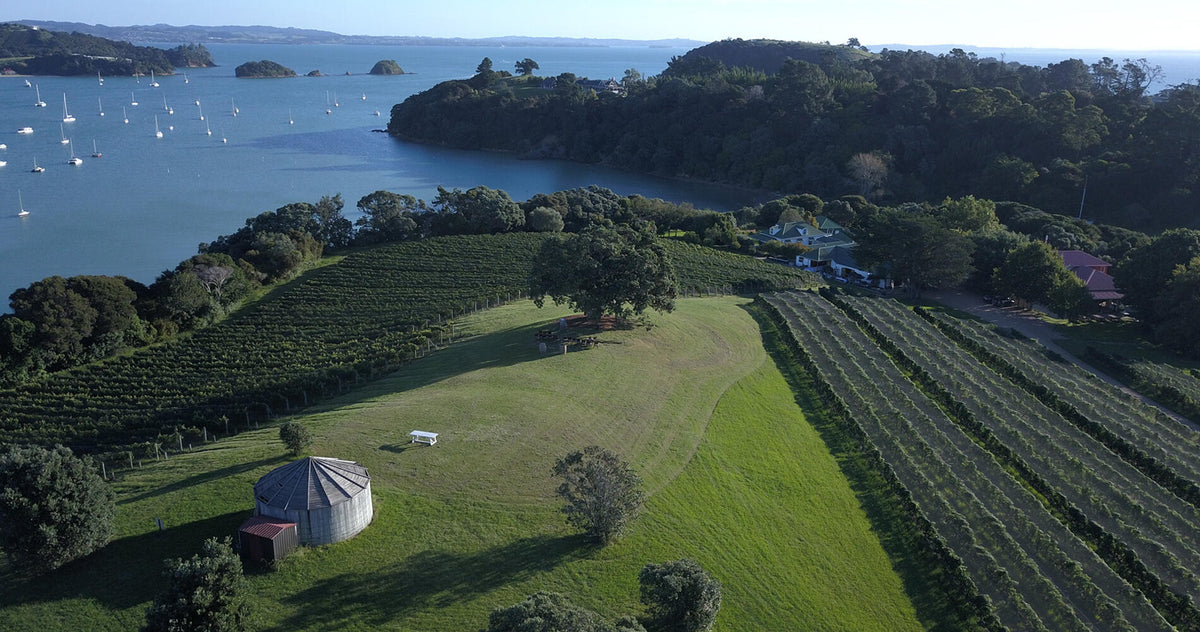 The wine destination stepping out of the shadows - Thanks to Stuff for the article