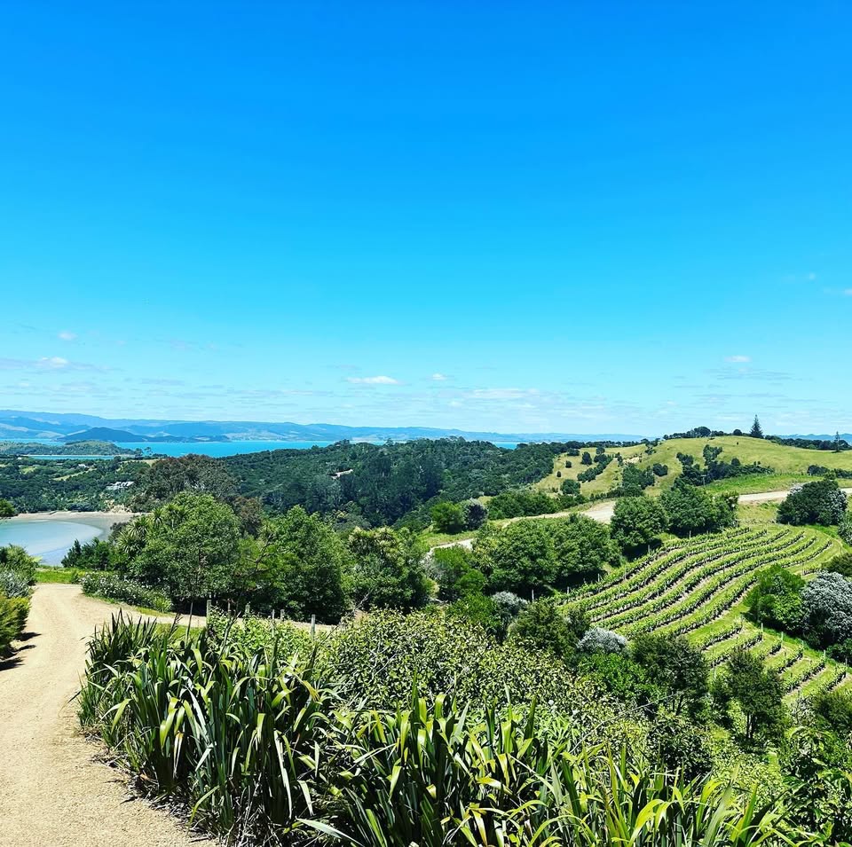 Waiheke Launches "Island of Wine" - A Month-Long Celebration This October