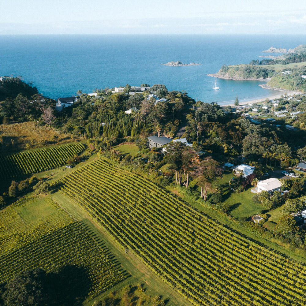 Waiheke Wine Growers Association 