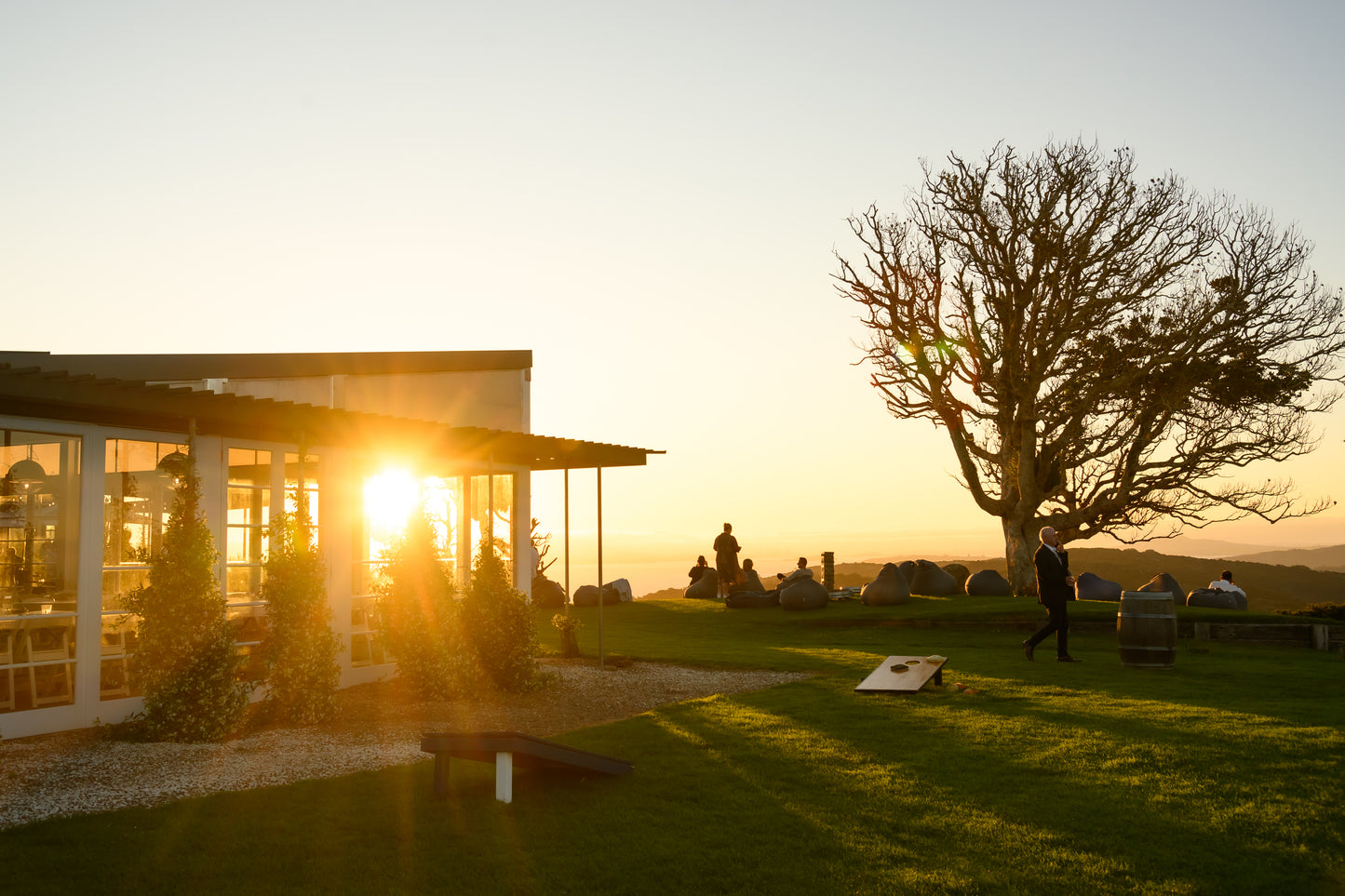 Winery & Vineyard  Experience at Batch