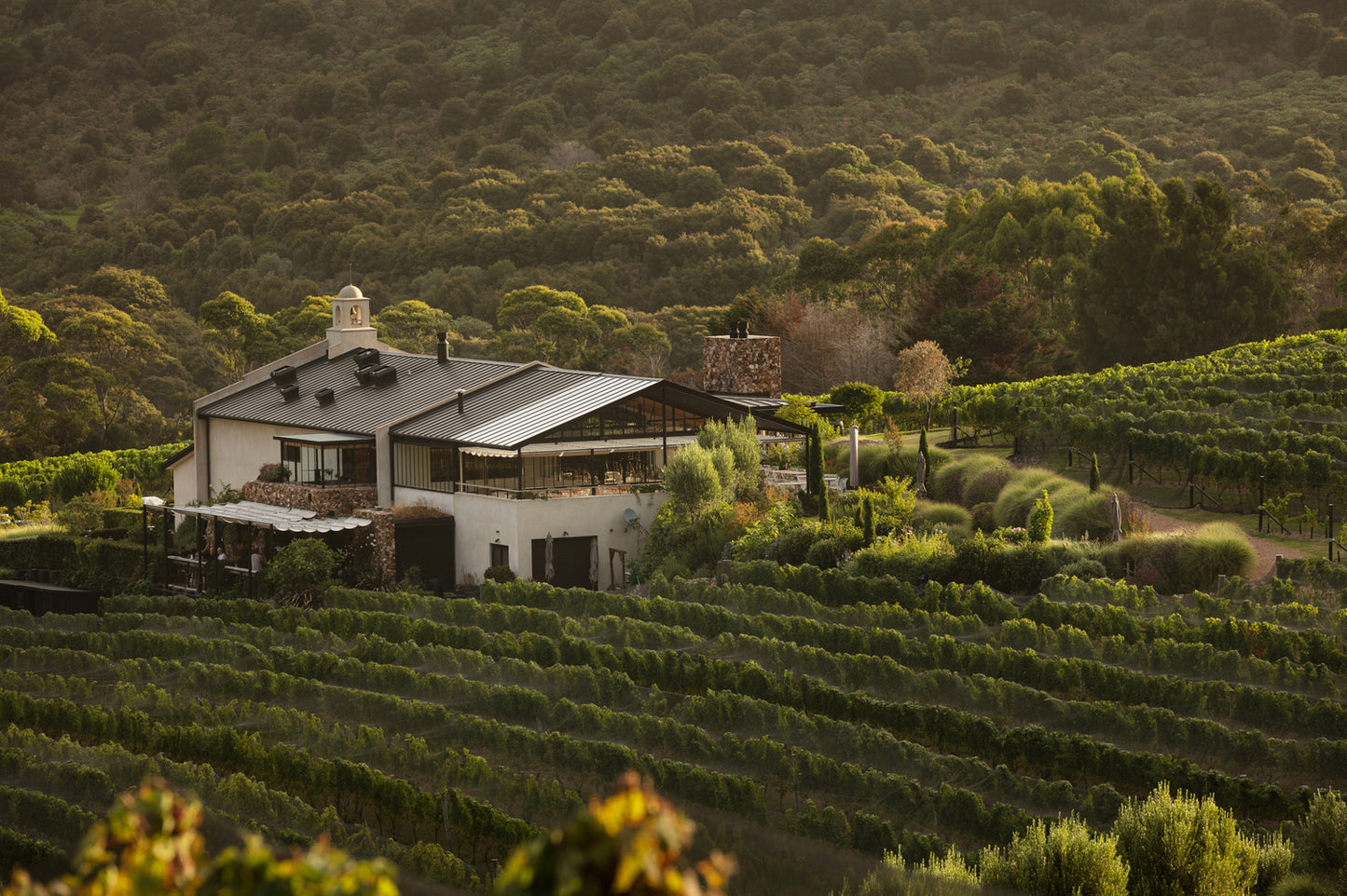 Waiheke Wine Growers Association 