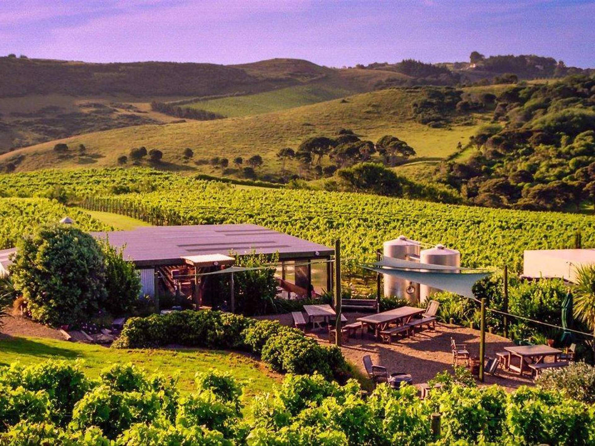 THE CLASSICS EP. 05: THE ODYSSEY The Shed, Te Motu Vineyard