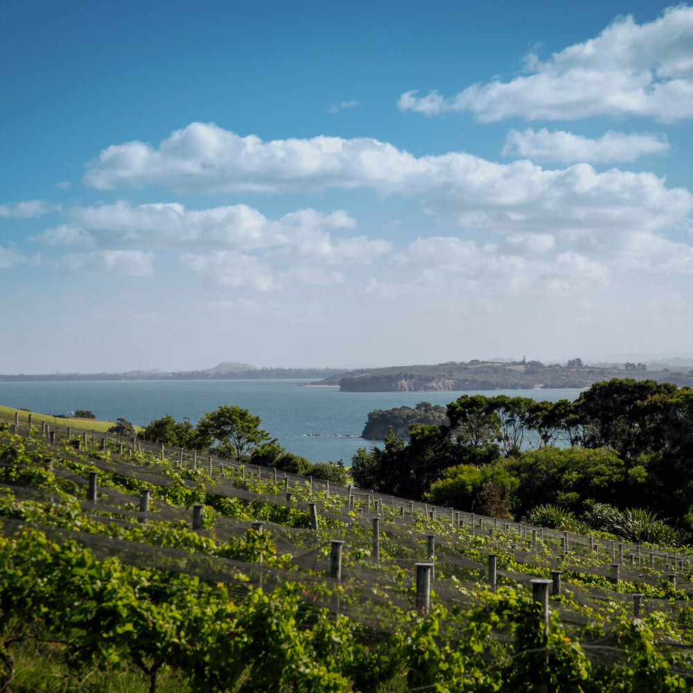 Waiheke Wine Growers Association 