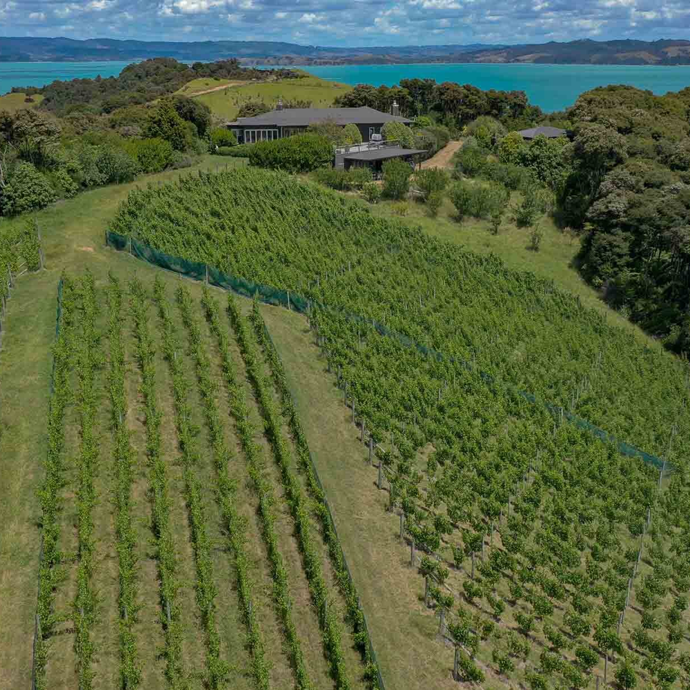 Waiheke Wine Growers Association 