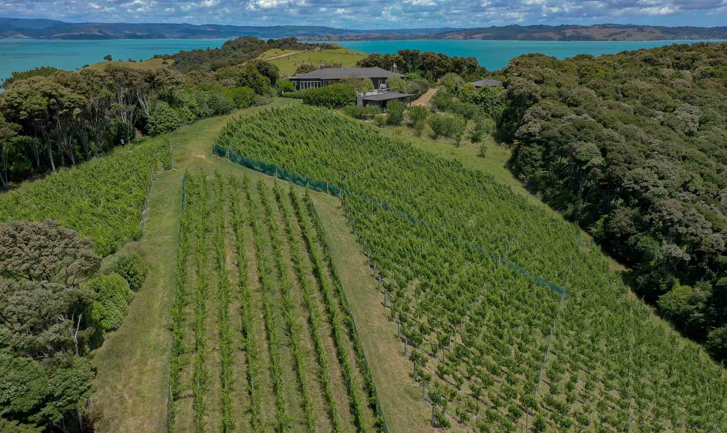 Waiheke Wine Growers Association 