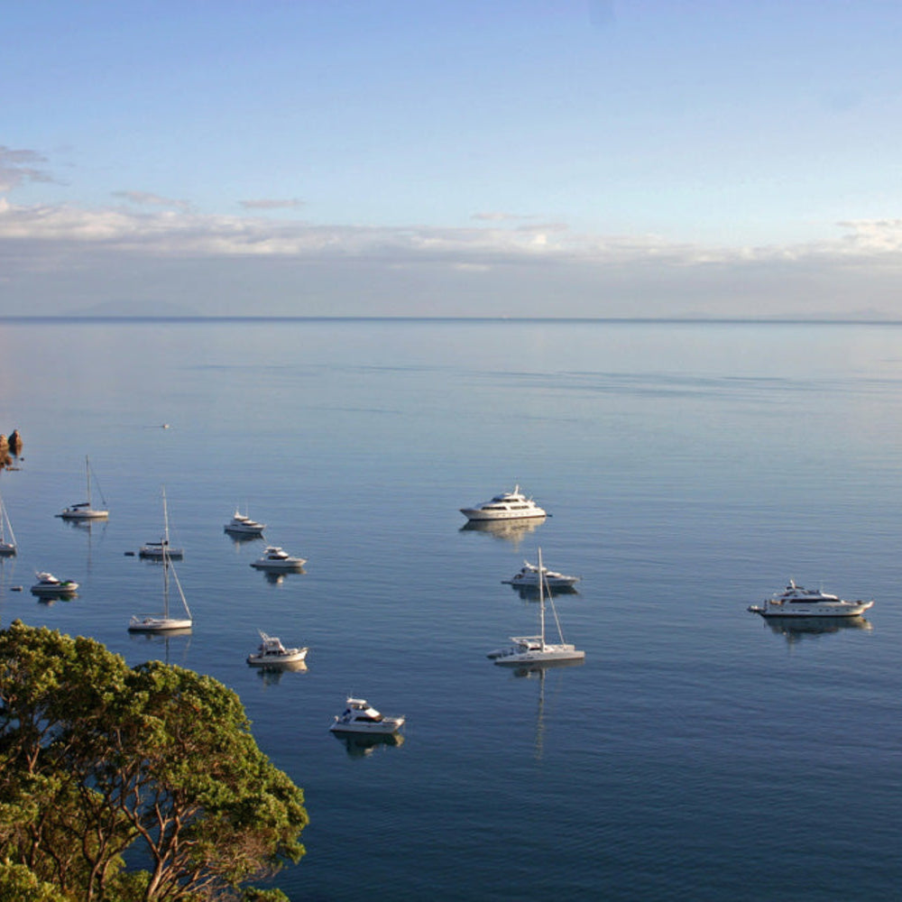 Waiheke Wine Growers Association 