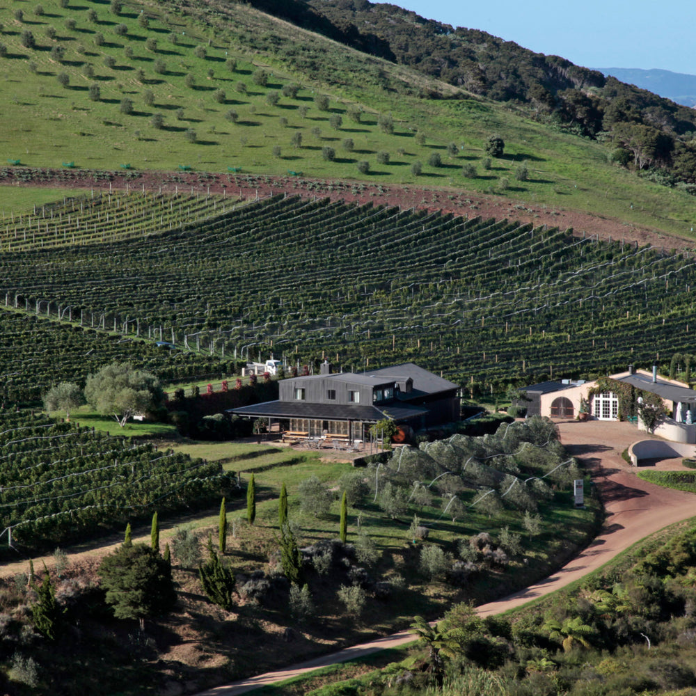 Waiheke Wine Growers Association 