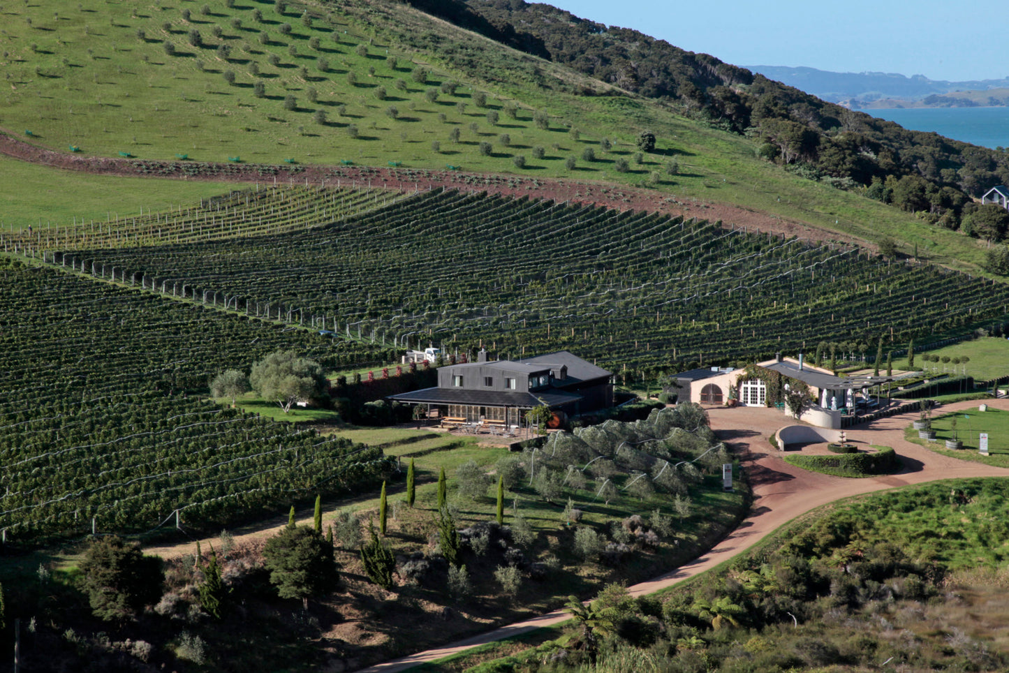 Waiheke Wine Growers Association 