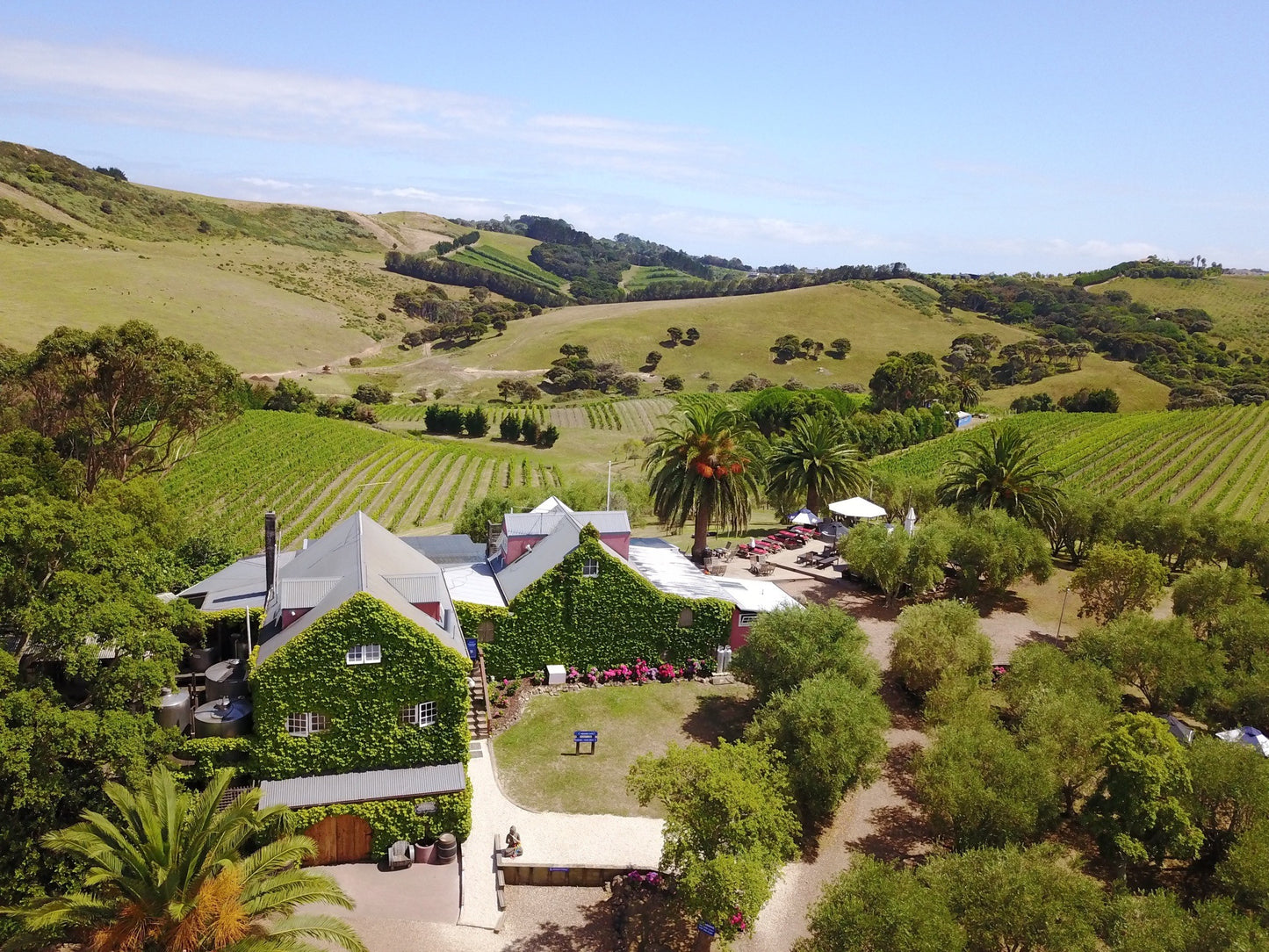 Waiheke Wine Growers Association 